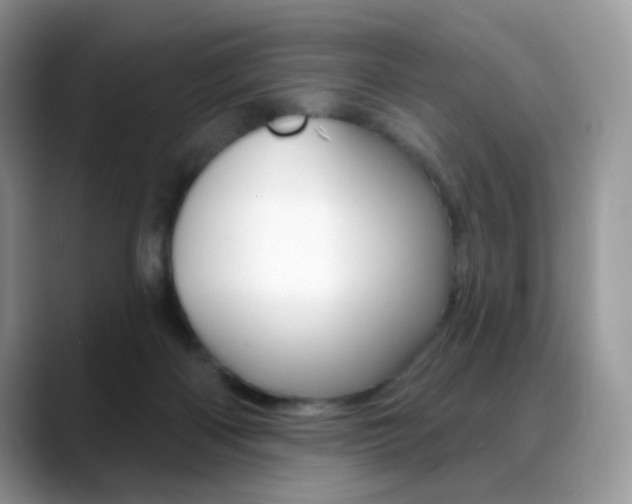 X0000088900122200706080834