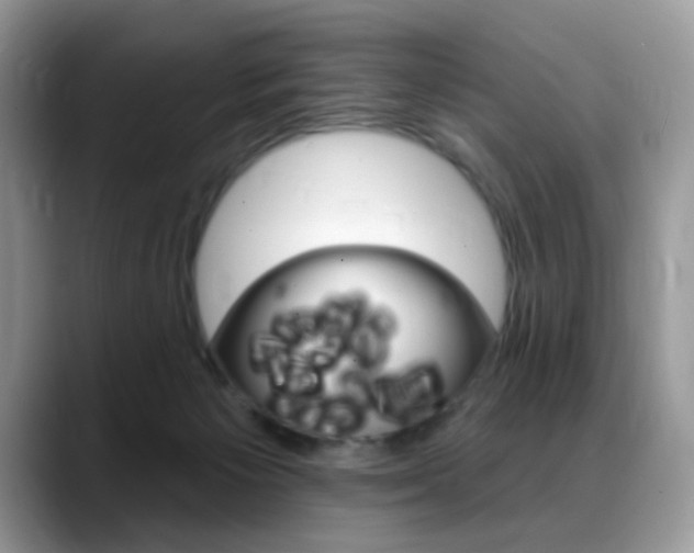 X0000088900125200706080834