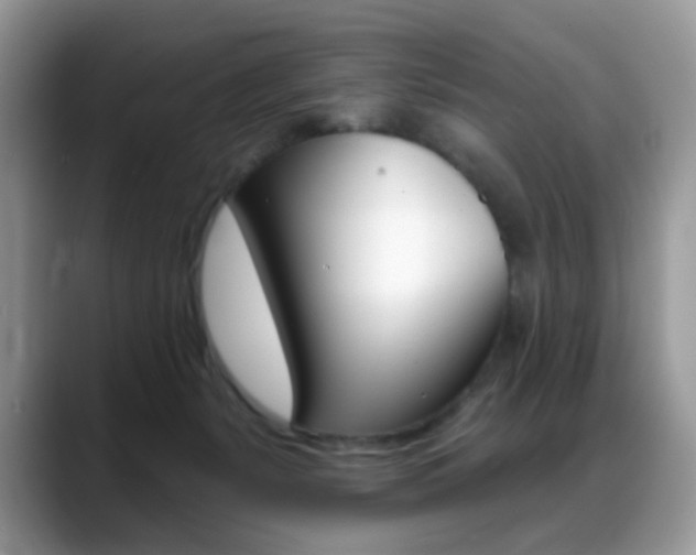 X0000088900127200706080834