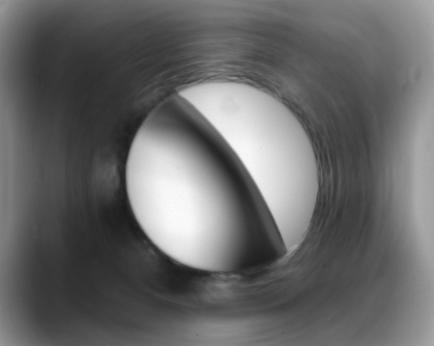 X0000088900128200706080834