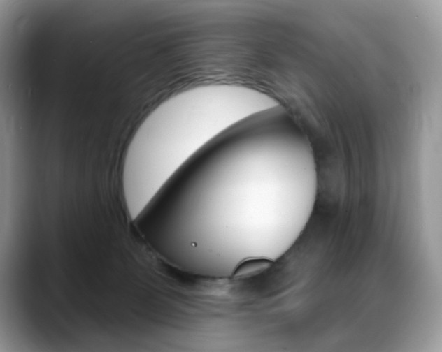 X0000088900131200706080834