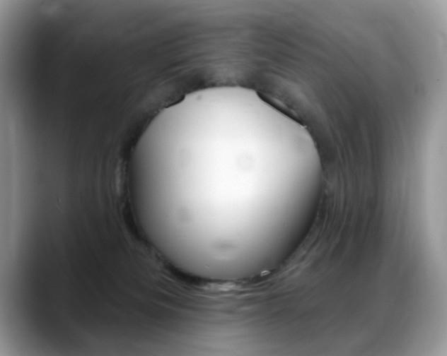 X0000088900133200706080834