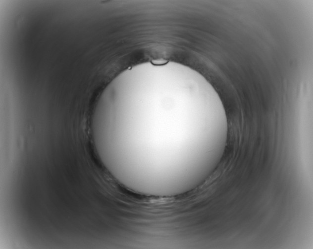 X0000088900134200706080834