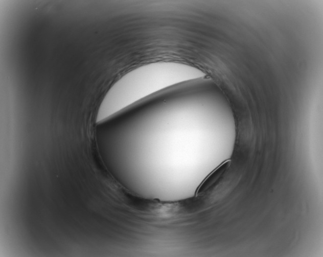 X0000088900135200706080834