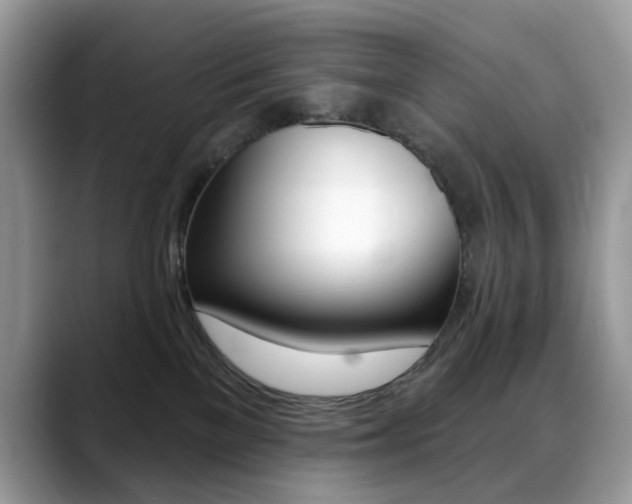 X0000088900137200706080834
