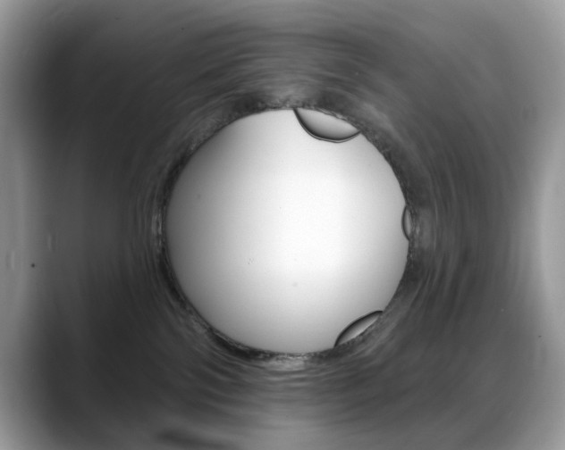 X0000088900138200706080834
