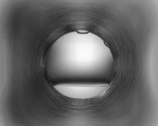 X0000088900140200706080834