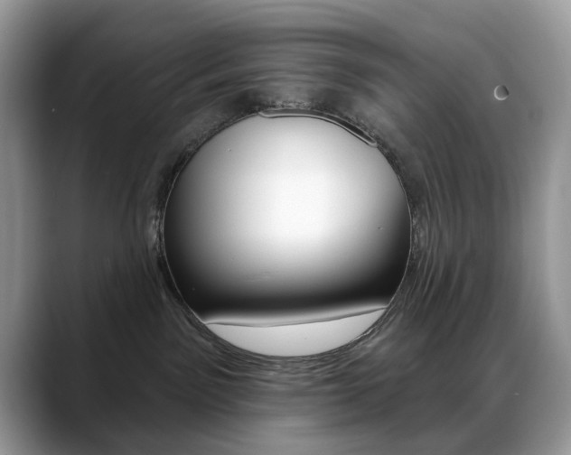 X0000088900141200706080834