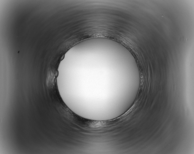 X0000088900142200706080834
