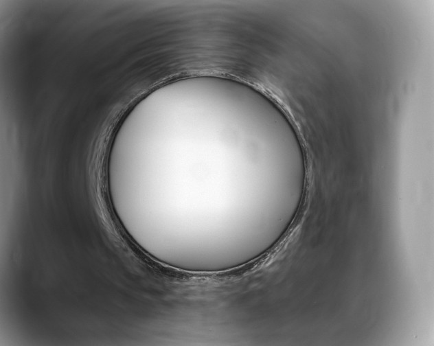 X0000088900145200706080833