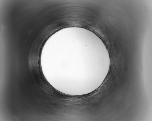 X0000088900146200706080833