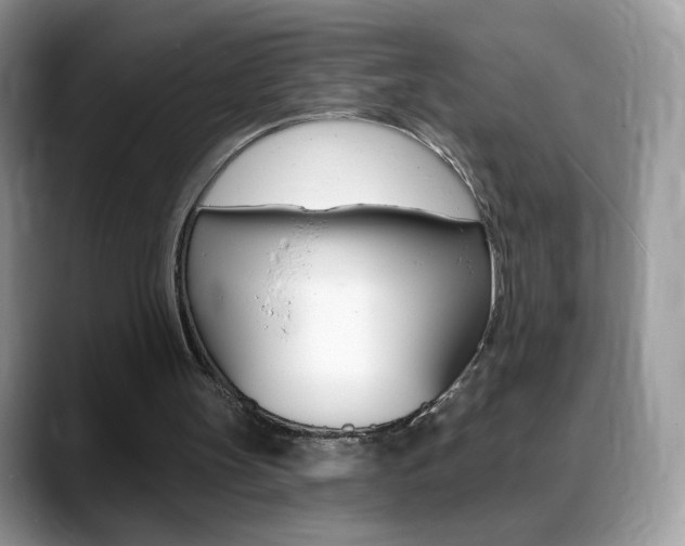 X0000088900147200706080833