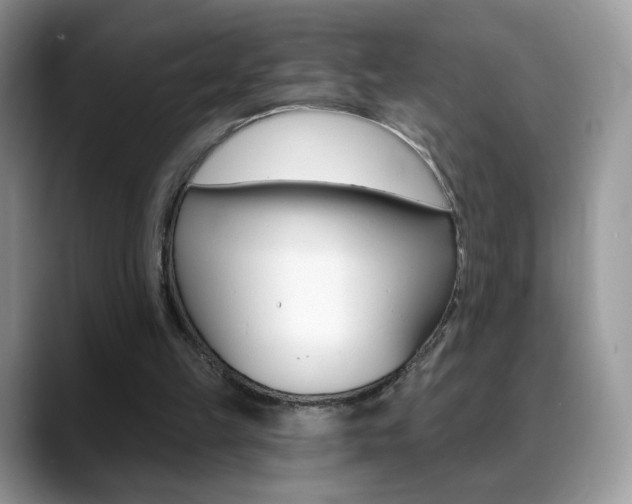 X0000088900149200706080833