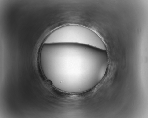 X0000088900151200706080833