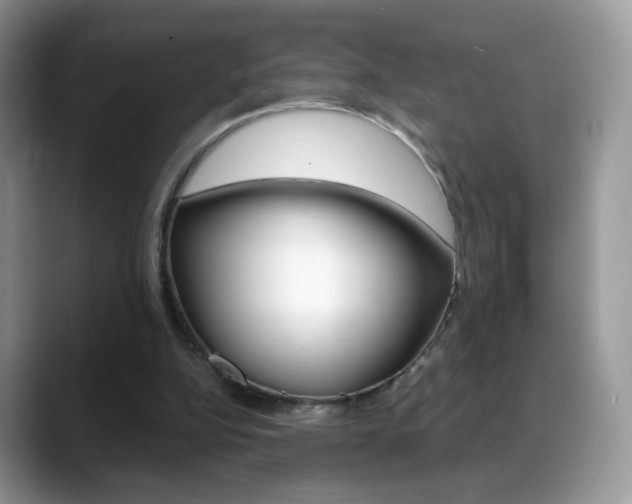 X0000088900152200706080833