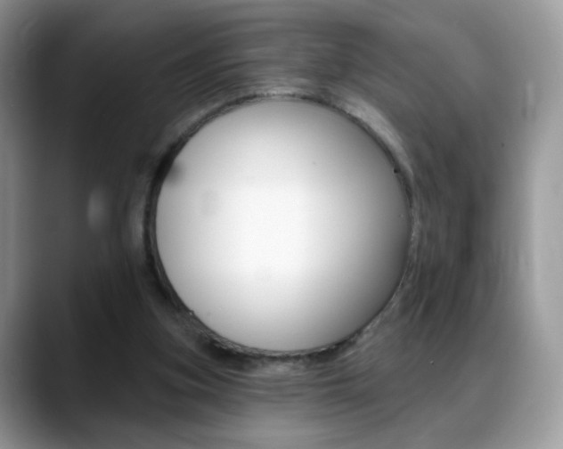 X0000088900155200706080833