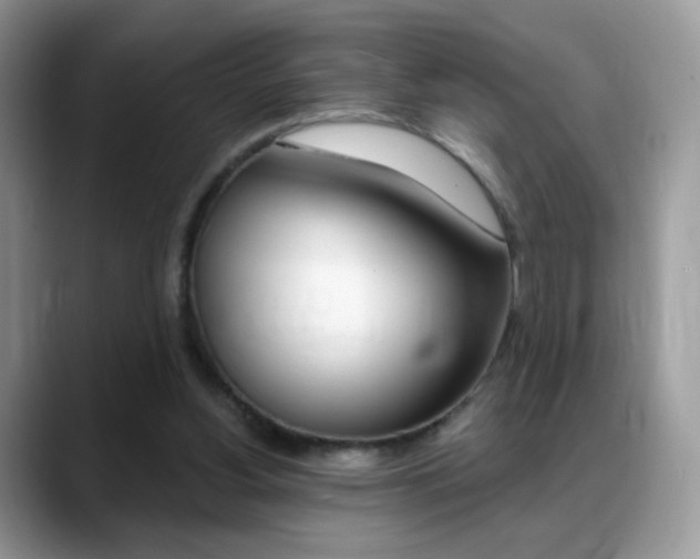 X0000088900156200706080833