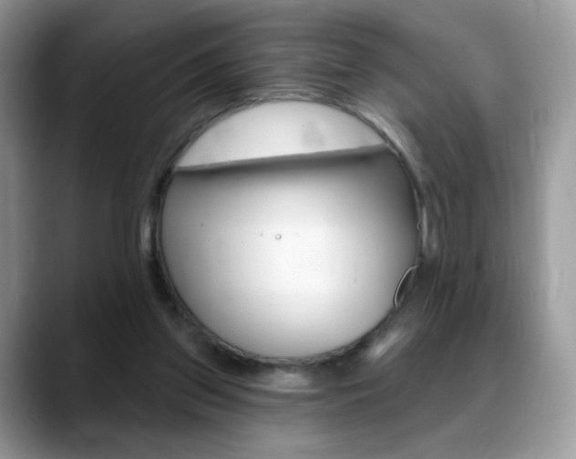 X0000088900157200706080833