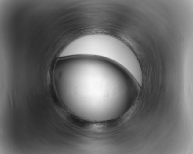X0000088900158200706080833