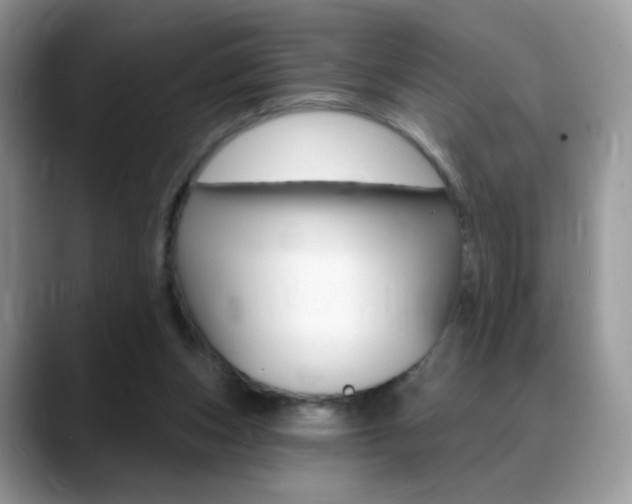 X0000088900159200706080833