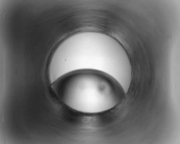 X0000088900160200706080833