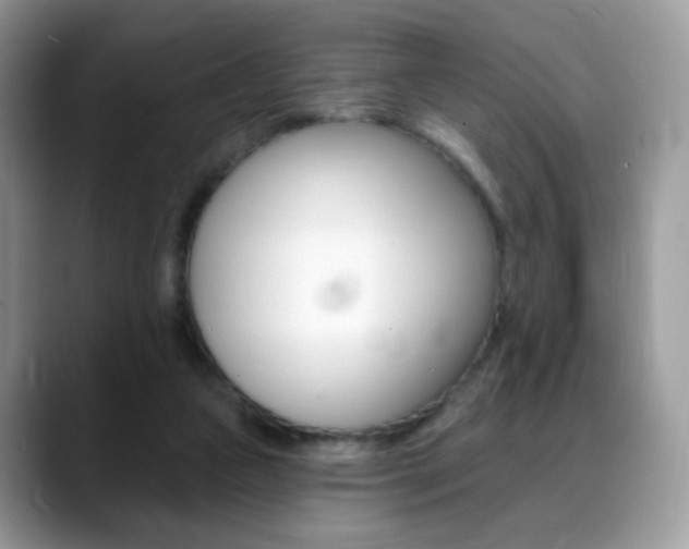 X0000088900161200706080833