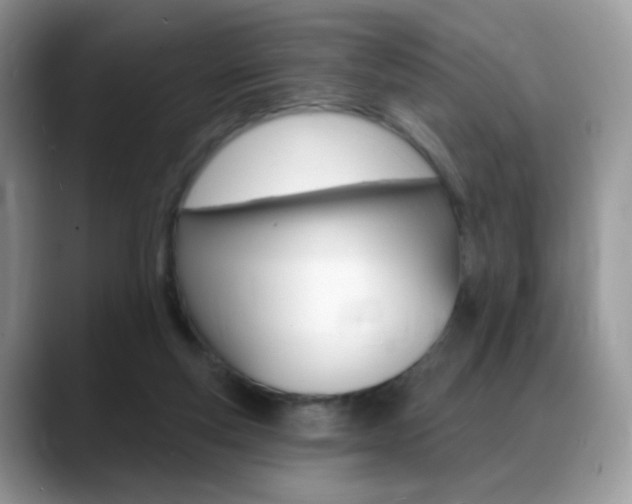 X0000088900163200706080833