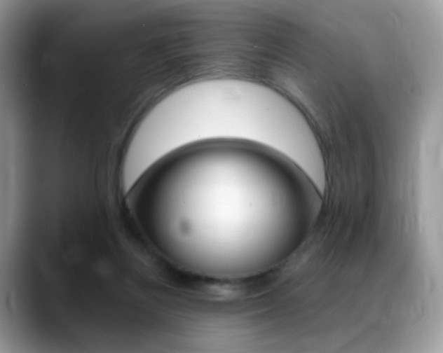 X0000088900164200706080833