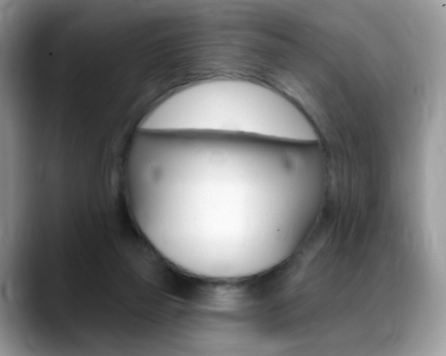 X0000088900165200706080834