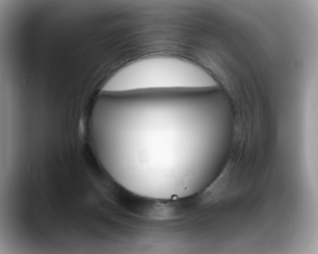 X0000088900166200706080834