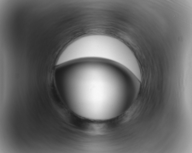 X0000088900168200706080834