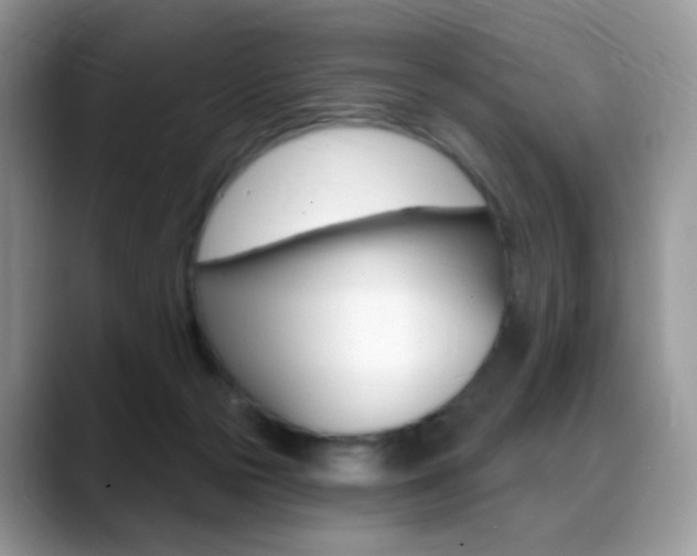 X0000088900169200706080834
