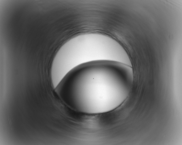 X0000088900170200706080834