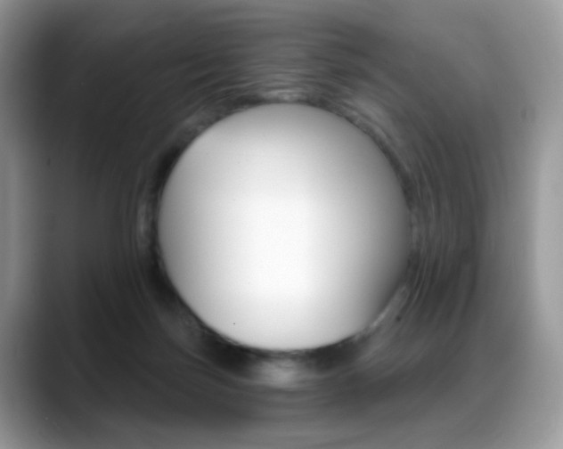 X0000088900171200706080834