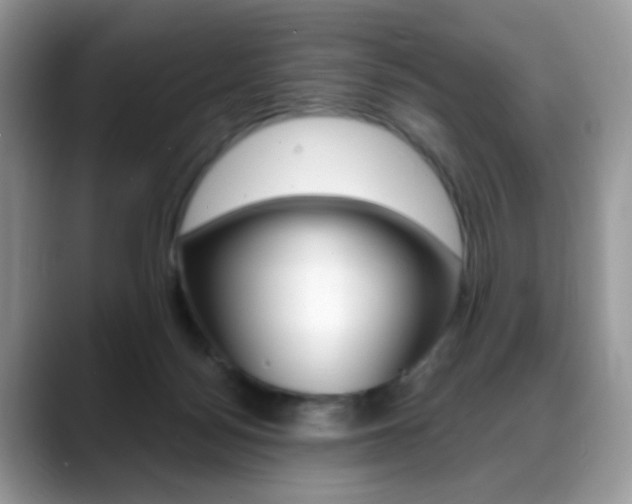 X0000088900172200706080834
