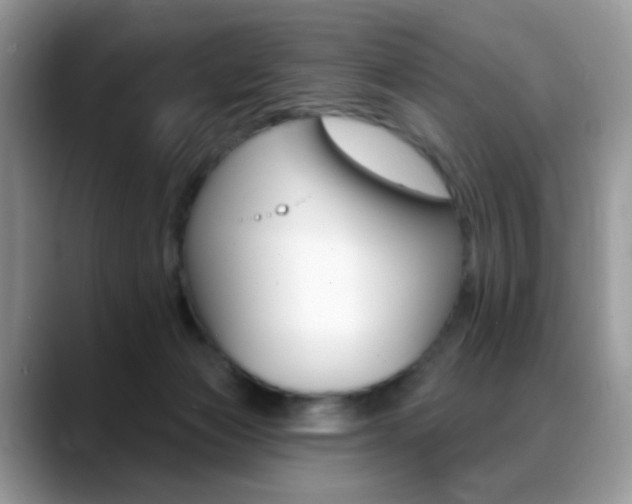 X0000088900173200706080834
