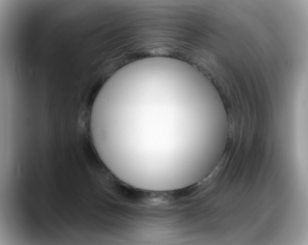 X0000088900175200706080834