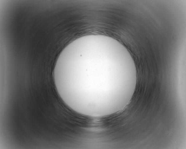X0000088900176200706080834