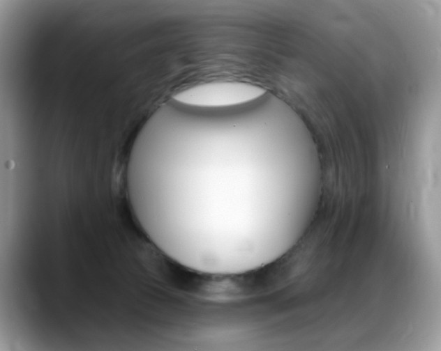 X0000088900177200706080834