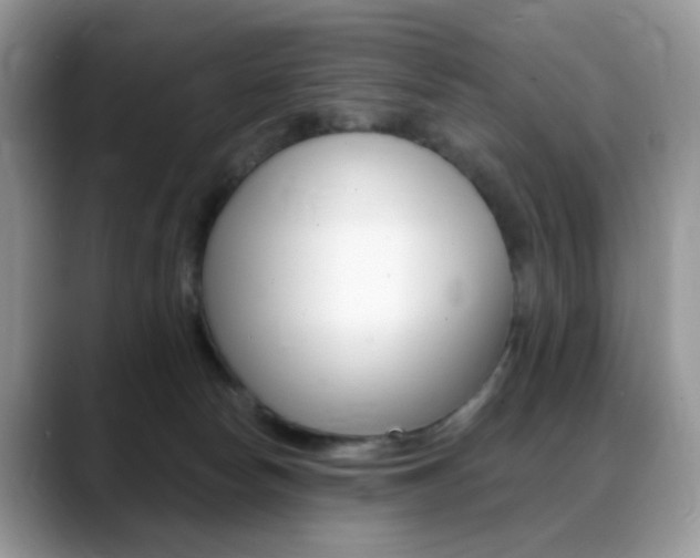 X0000088900178200706080834