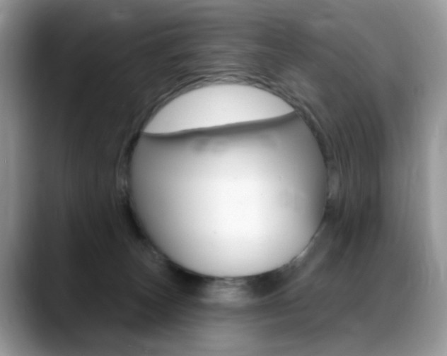X0000088900179200706080834