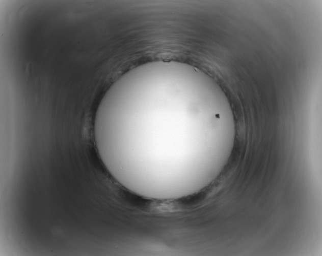 X0000088900181200706080834