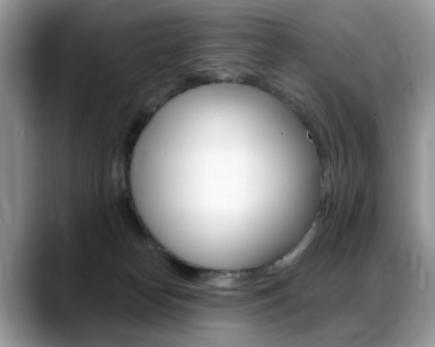 X0000088900182200706080834