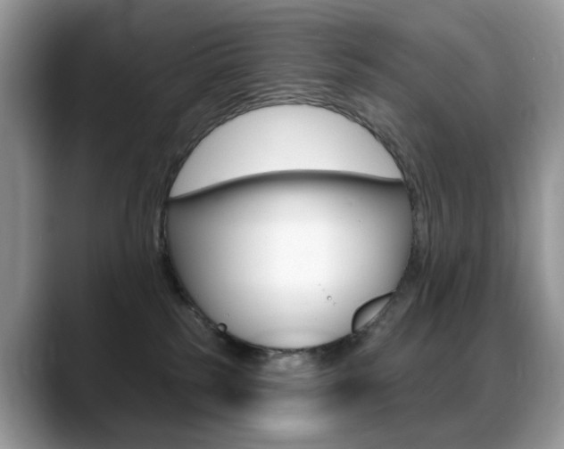 X0000088900185200706080834