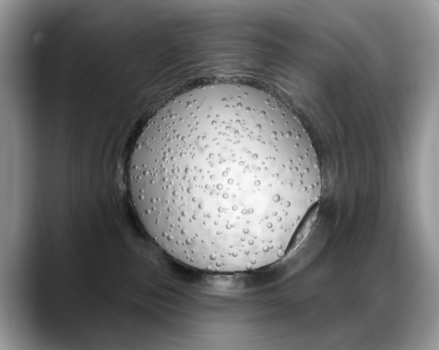 X0000088900187200706080834