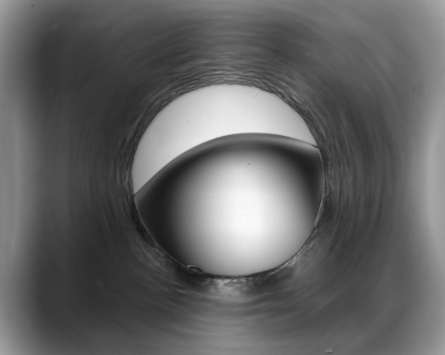 X0000088900188200706080834