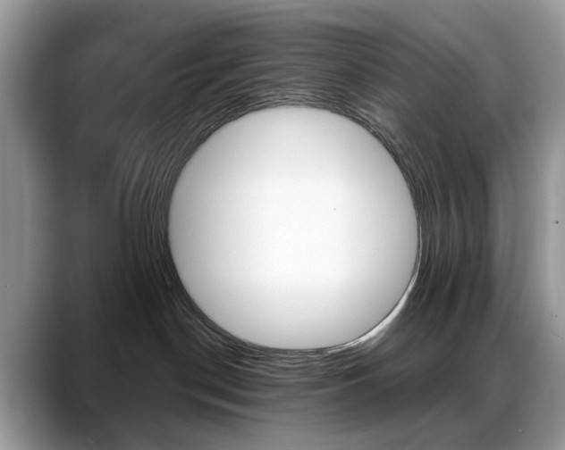 X0000088900190200706080834