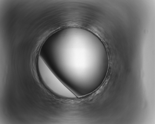 X0000088900193200706080833