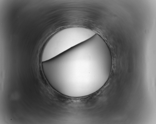 X0000088900194200706080833