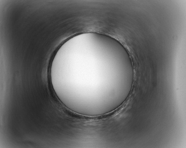 X0000088900196200706080833